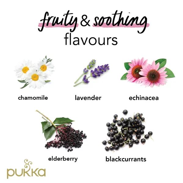 Pukka Herbal Organic Teas Tea Sachets - Night Time Berry (40 Sachets)